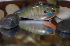 Foiled female Bluegill