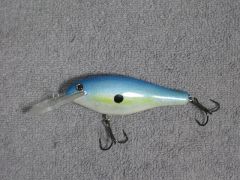 4 Sexy Shad Crankbait