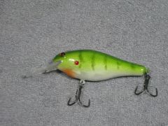 2  Blue gill Crankbait