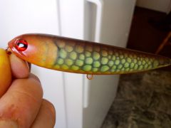 New photo finish lures Nov 2011 030