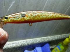 sunfish jerk bait 019