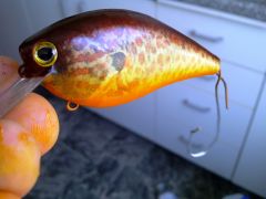 New photo finish lures Nov 2011 038