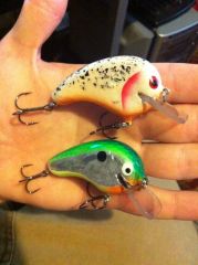 crankbaits