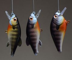 New bluegill colors