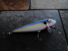 sexy shad