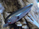 Ghost Tennessee Shad Sammy