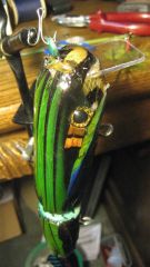 parrot swimbait