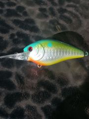 holographic citrus shad