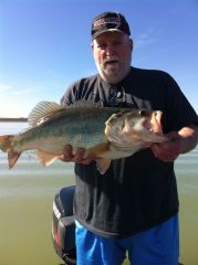 Lake Falcon 10.16 lbs.