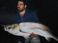 Mulloway