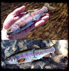 Rainbow Trout Swimbait