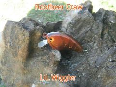 rootbeer craw wiggler