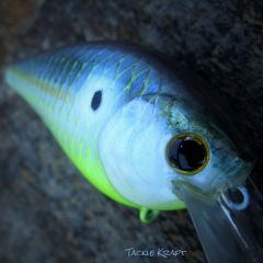 Tackle Kraft War Shad