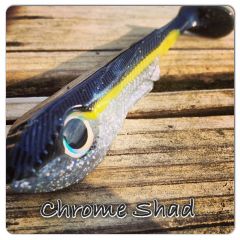 Chrome shad