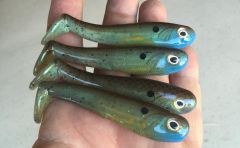 Bluegill hollowbelly swimbait