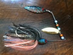 pumpkinseed spinner