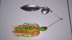 ultra minnow spinnerbait.