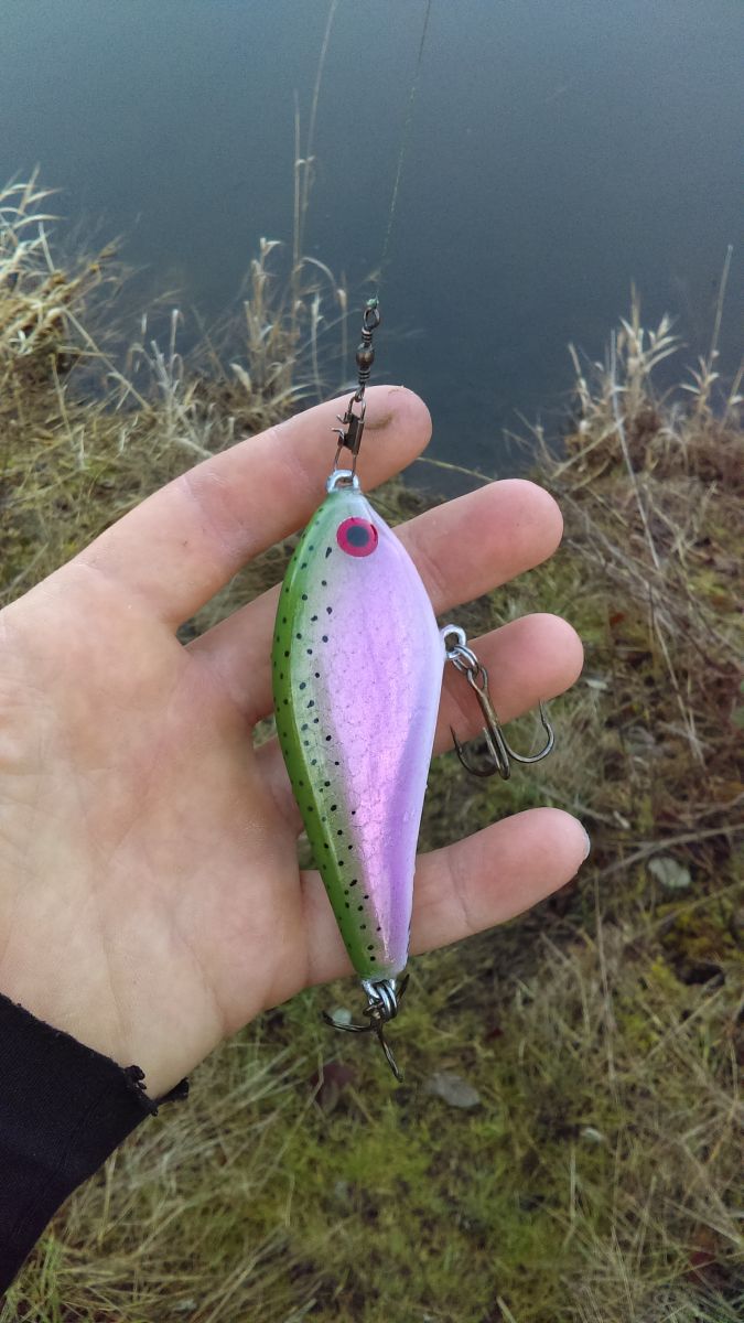 Hard Baits - Page 3 -  - Tackle Building Forums