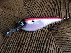 Fatfingers Flatshad