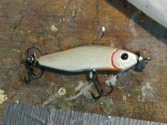 Spybait  deep 21 gram 1 right side