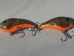 green craw wrinkled AC1315