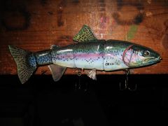 Rainbow Trout 10"