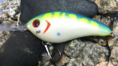 Citrus Shad II