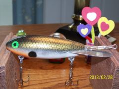 004 Tennesse shad