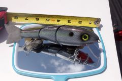 8" PVC custom swimbait!!