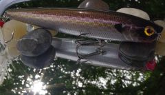 Red Sparkle Shad