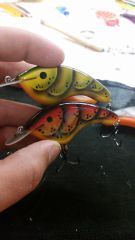 New Craw Patterns