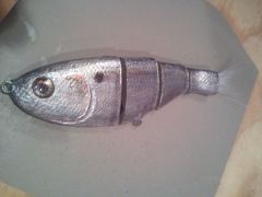 Threadfin shad