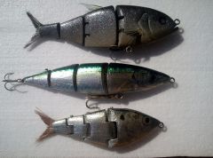 Hardtail, Cigar minnow, Threadfin shad