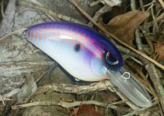 random shad pattern