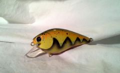 Pumpkin Craw 1.5