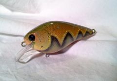 Spring Craw 1.5