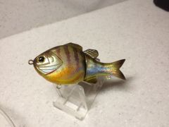 Holographic Bluegill