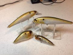 Real Shad Holographic Scale Pattern