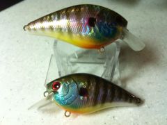 Holographic Bluegill