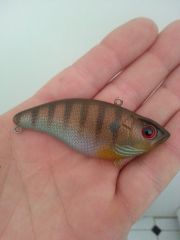 lipless gill