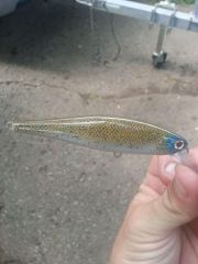 strike king river minnow