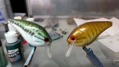 Spotted bass And Smallmouth bass downsized