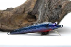 Painted Rapala