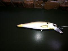 threadfin shad