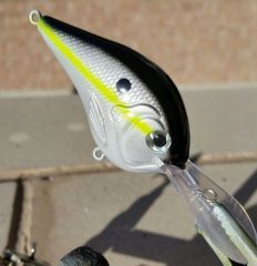 Silver Shad