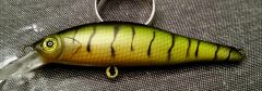 Perch pattern