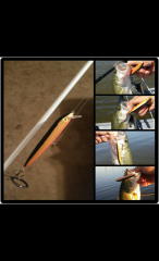 Jerk bait fishin!