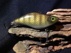 Walleye Lipless Crankbait