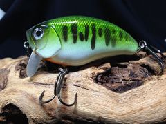 Baby Bass Wakebait