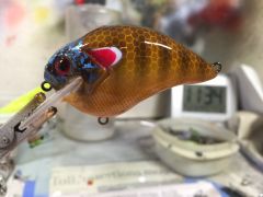 Red Ear Gill on a Megabass S-Crank